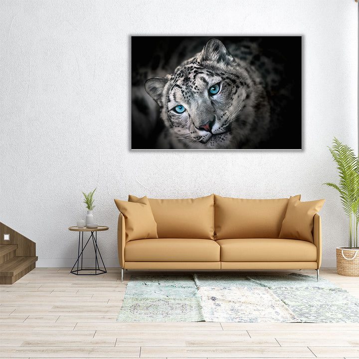 Snow leopard or Irbis Portrait - Canvas Print Wall Art