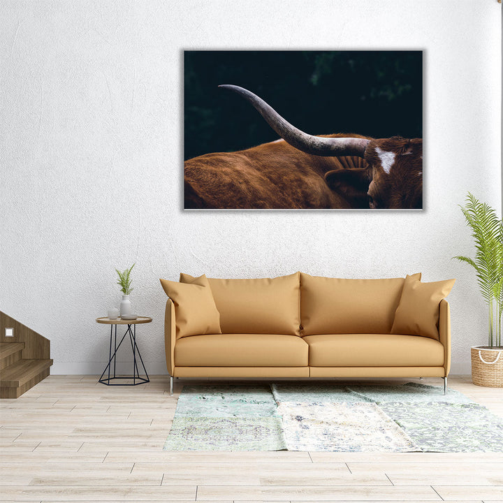 Texas Longhorn Cow Close Up - Canvas Print Wall Art