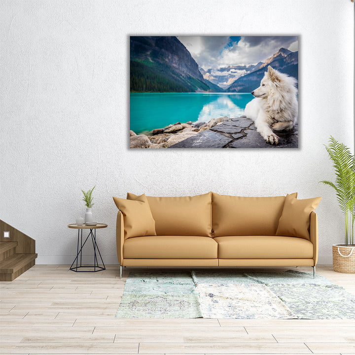 White Fox Sitting On A Lakefront Near Mountains - Canvas Print Wall Art