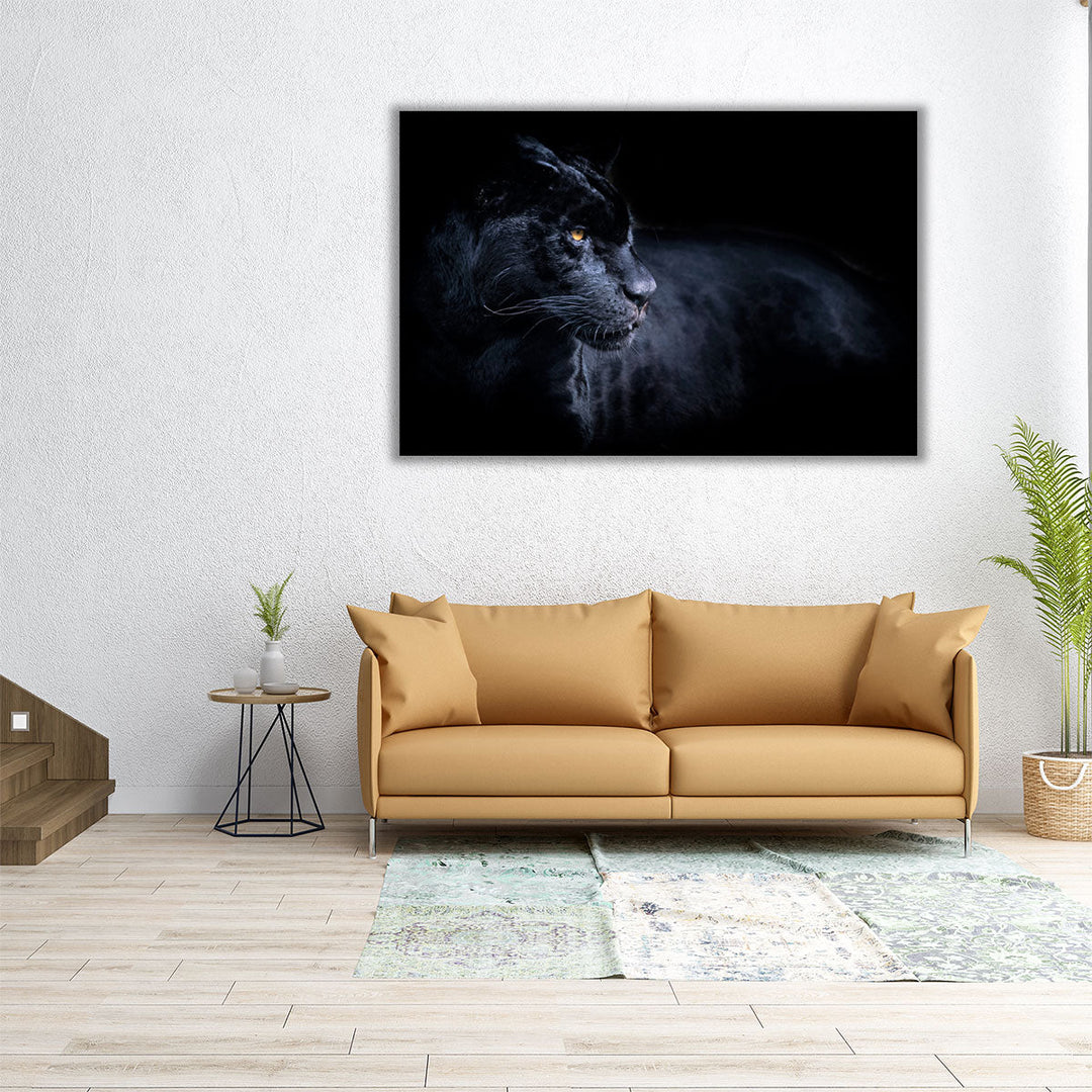 Black Panther with a Black Background - Canvas Print Wall Art