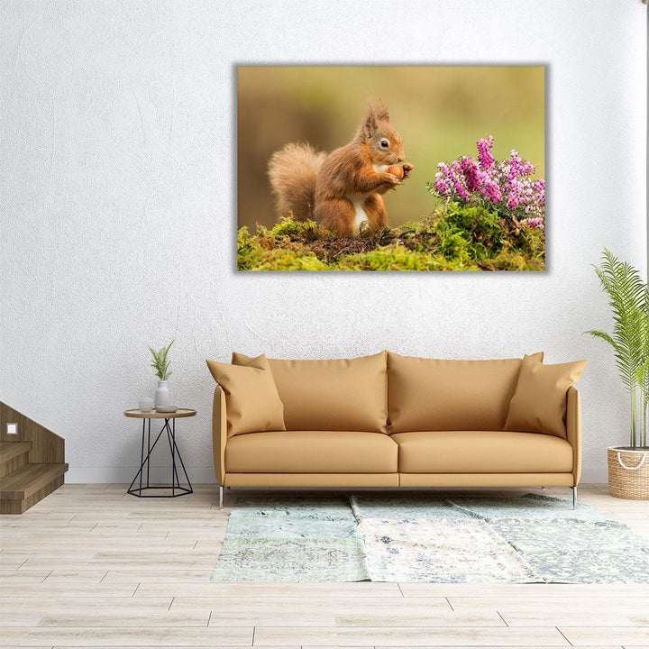 Red Squirrel Playing Around Heather And Moss - Canvas Print Wall Art