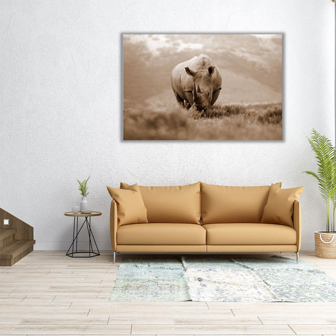 A White Rhino With Big Horns in South Africa - Canvas Print Wall Art