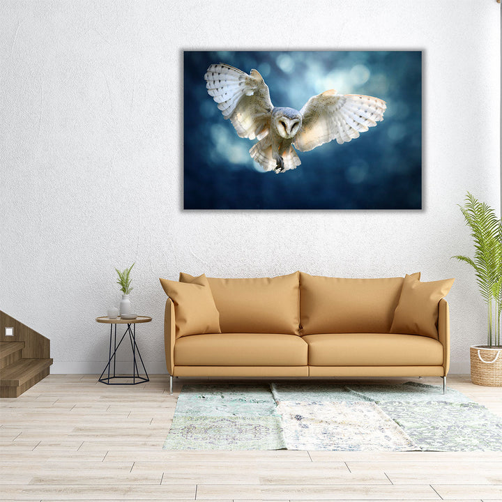 Hunting Barn Owl in Flight - A Wildlife Scene - Canvas Print Wall Art