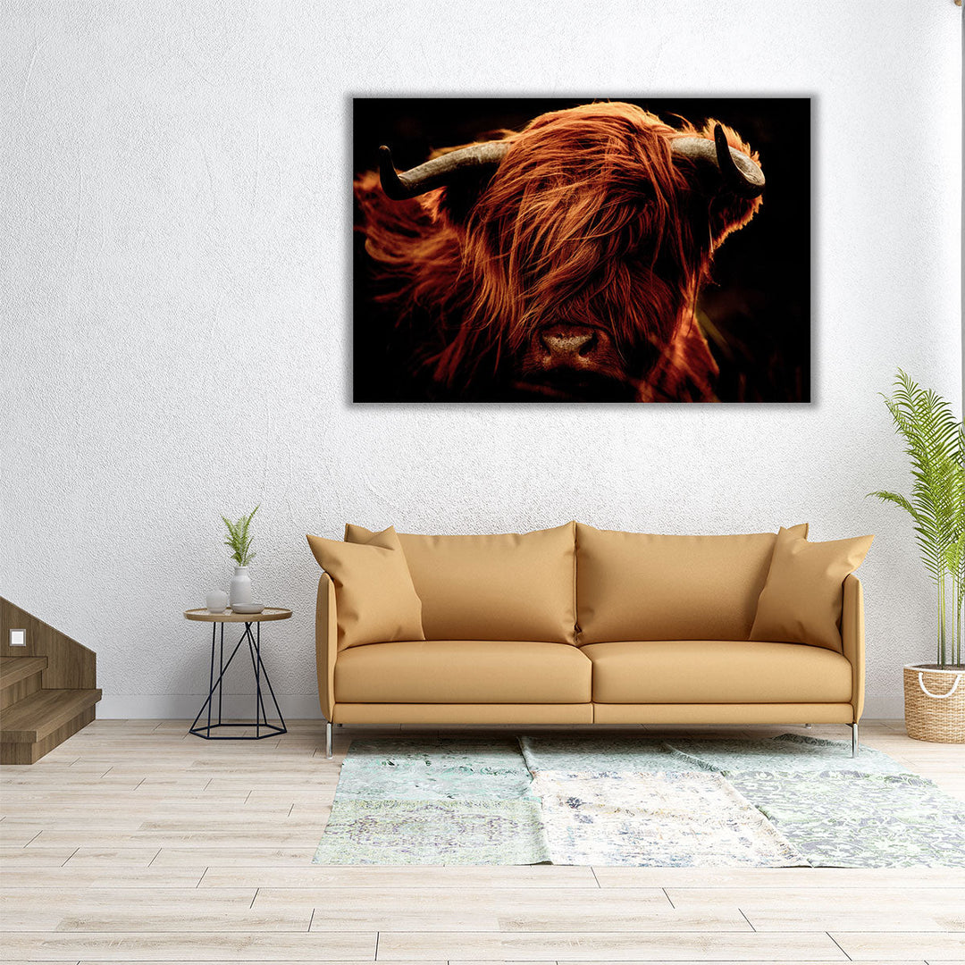 A Close-Up of Highland Cows - Canvas Print Wall Art