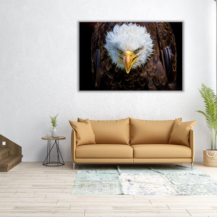 An Angry American Eagle on Black Background - Canvas Print Wall Art