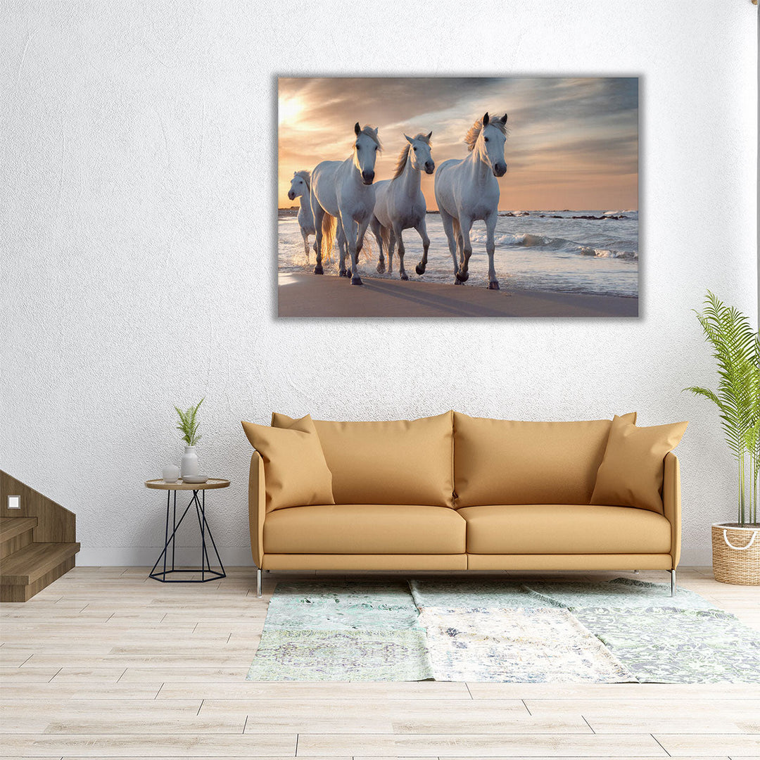 Herd of White Horses Running Through The Water - Canvas Print Wall Art