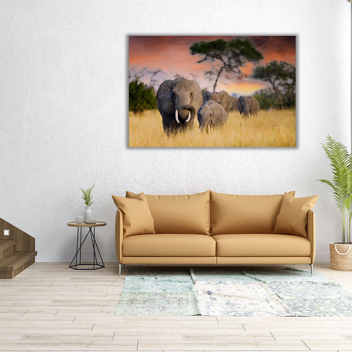 A Herd of Wild Elephants in Tarangire National Park - Canvas Print Wall Art