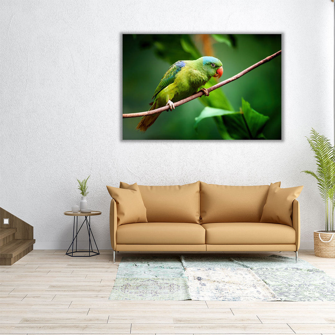 Blue-Naped Parrot, Tanygnathus Lucionensis Closeup - Canvas Print Wall Art