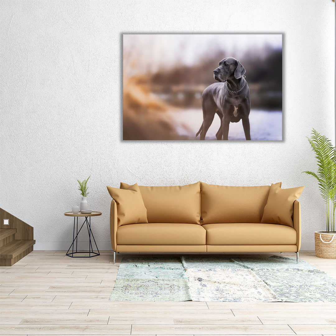 An Amazing Closeup of A Blue Great Dane - Canvas Print Wall Art