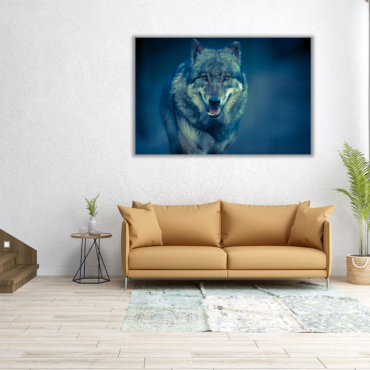 Scary Dark Gray Canis Lupus Wolf - Canvas Print Wall Art