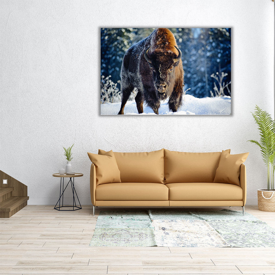 Aurochs, Bison in the Wild in Winter - Canvas Print Wall Art