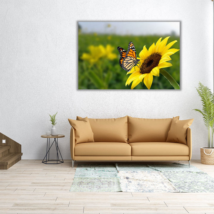 Butterfly on Sunflower - Canvas Print Wall Art