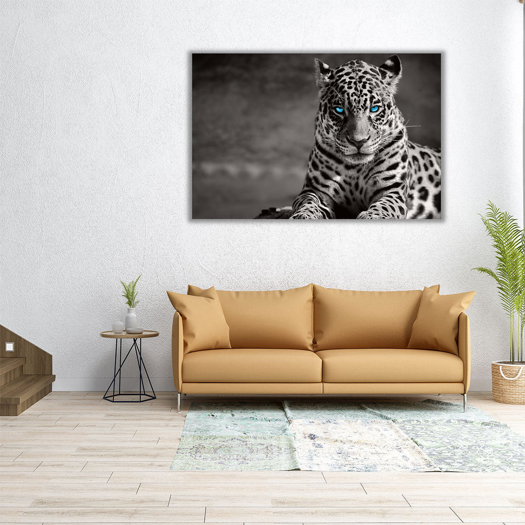 Black and White Jaguar With Blue Eyes - Canvas Print Wall Art