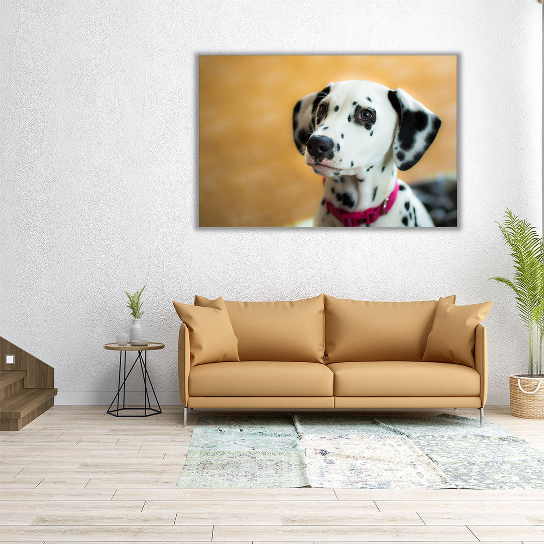 Dalmatian Aida Puppy's Closeup - Canvas Print Wall Art