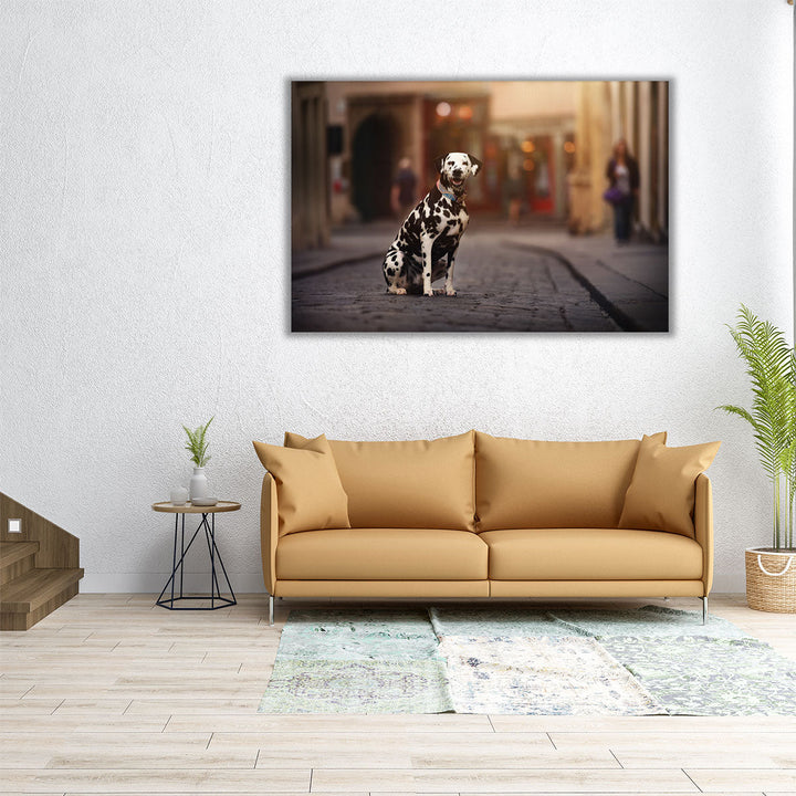 Dalmation Dog Sitting in a City - Canvas Print Wall Art