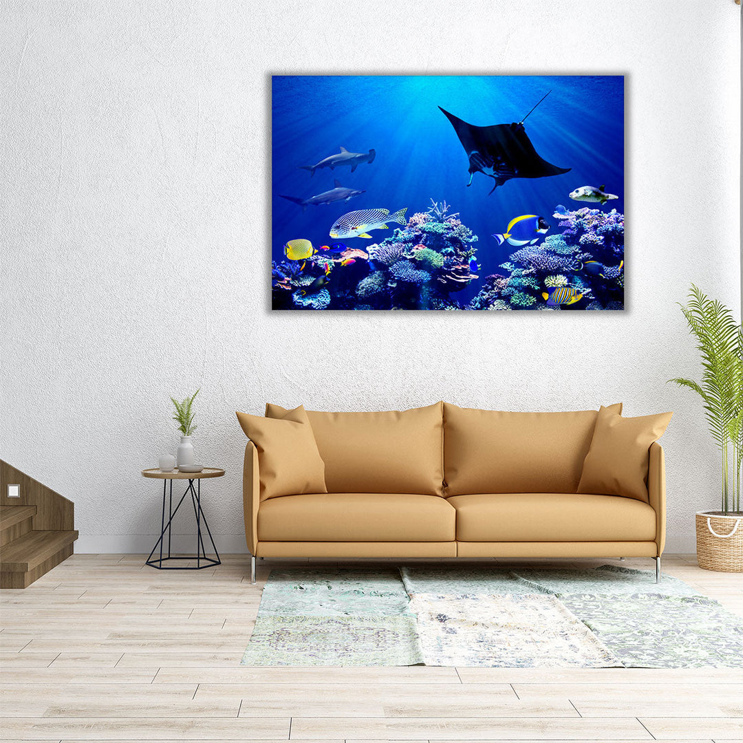 Eagle Ray and Hammerhead Sharks , Underwater Coral Reef - Canvas Print Wall Art