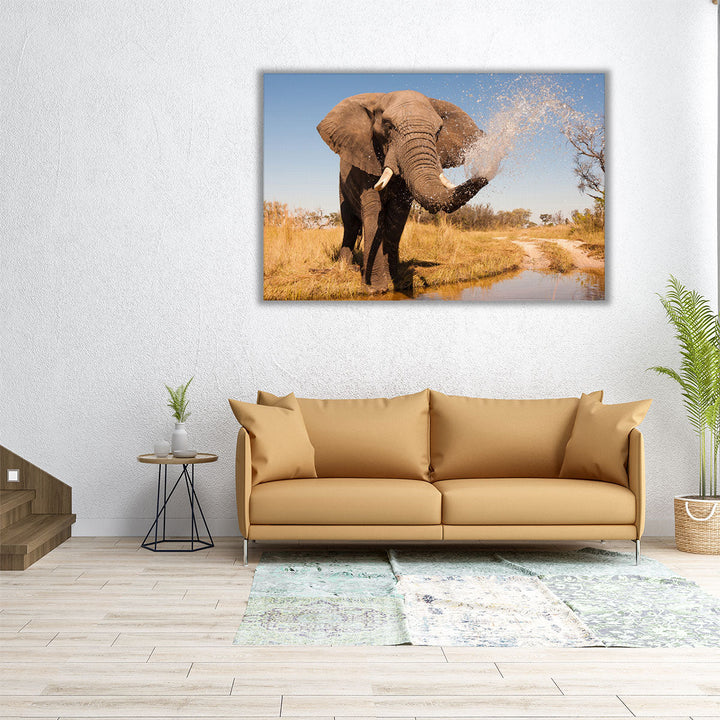 Elephant Spraying Water with his Trunk - Canvas Print Wall Art