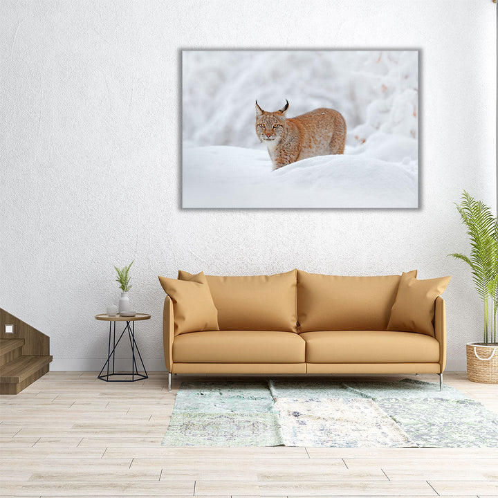 Eurasian Lynx in a Snowy Forest - Canvas Print Wall Art