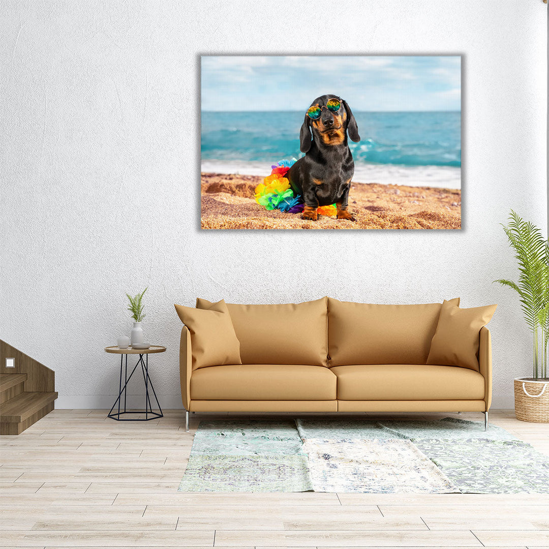 Funny Dachshund Puppy in its Style Sitting On a Beach - Canvas Print Wall Art