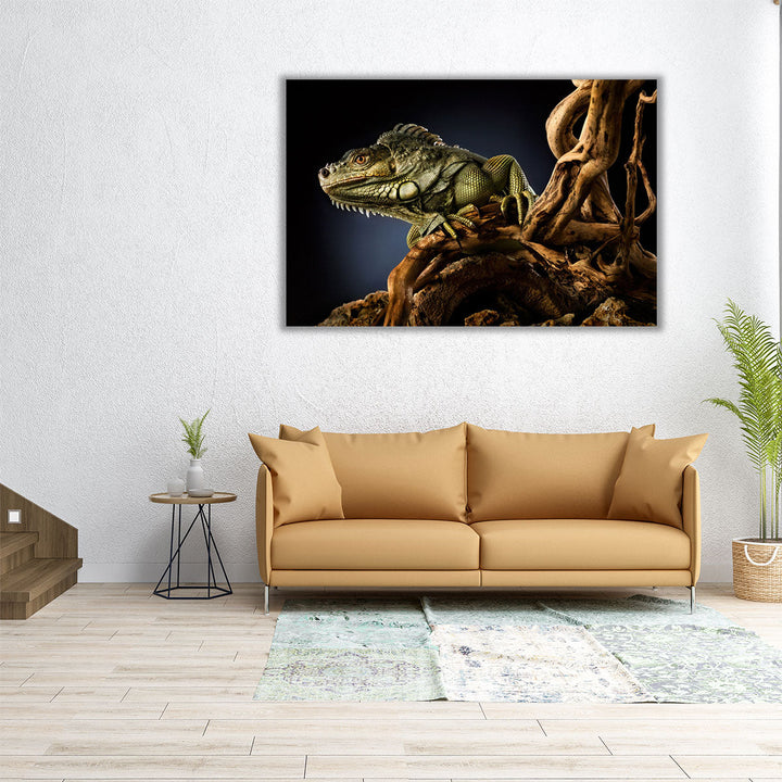 Iguana Lizard on a Tree Branch, Reptile Photography - Canvas Print Wall Art