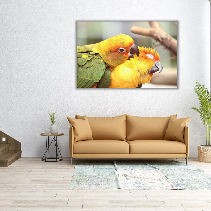 Lovely Parrots Couple - Canvas Print Wall Art