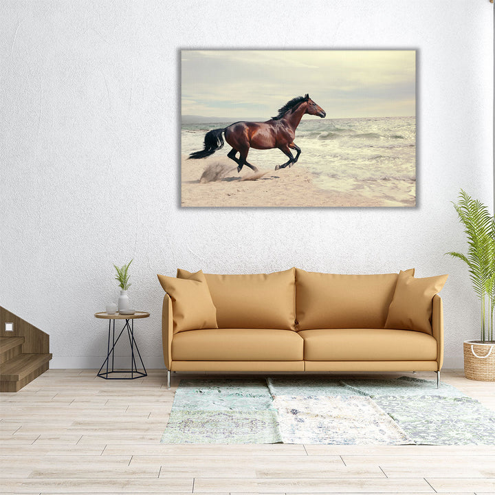 Marine Landscape With Beautiful Bay Horse - Canvas Print Wall Art