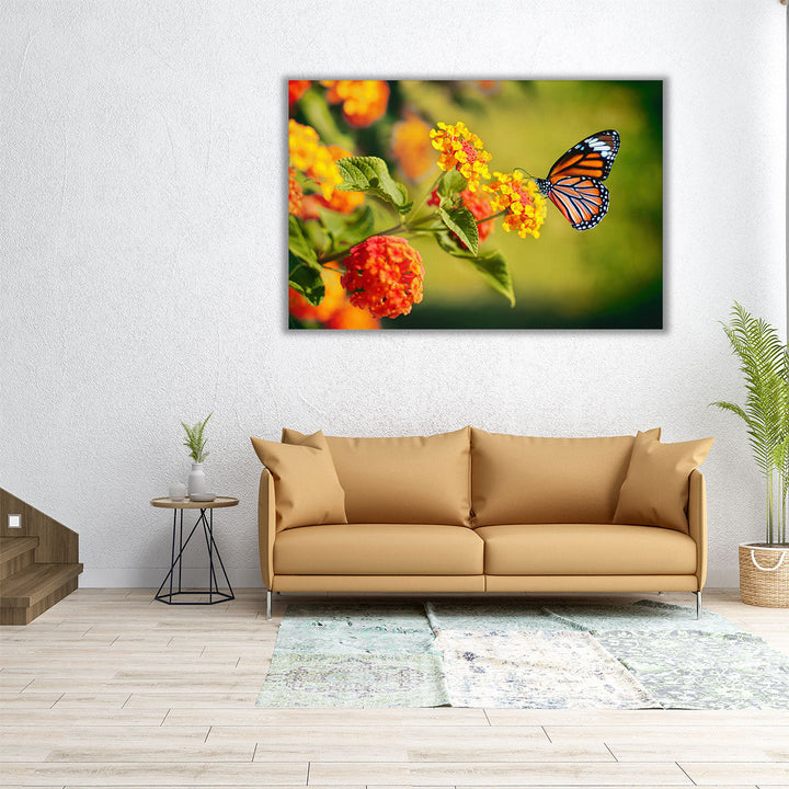 Monarch Butterfly on Lantana Flower - Canvas Print Wall Art