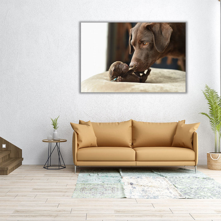 Newborn Labrador Retriever Baby and Mother - Canvas Print Wall Art