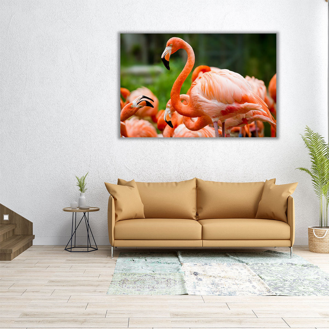 Pink Flamingos Against Green Background - Canvas Print Wall Art