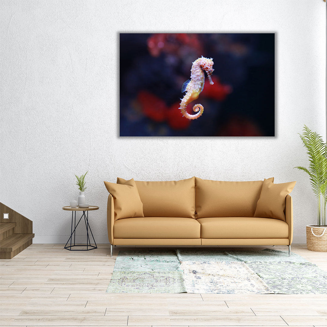 Seahorse or Hippocampus Swimming - Canvas Print Wall Art