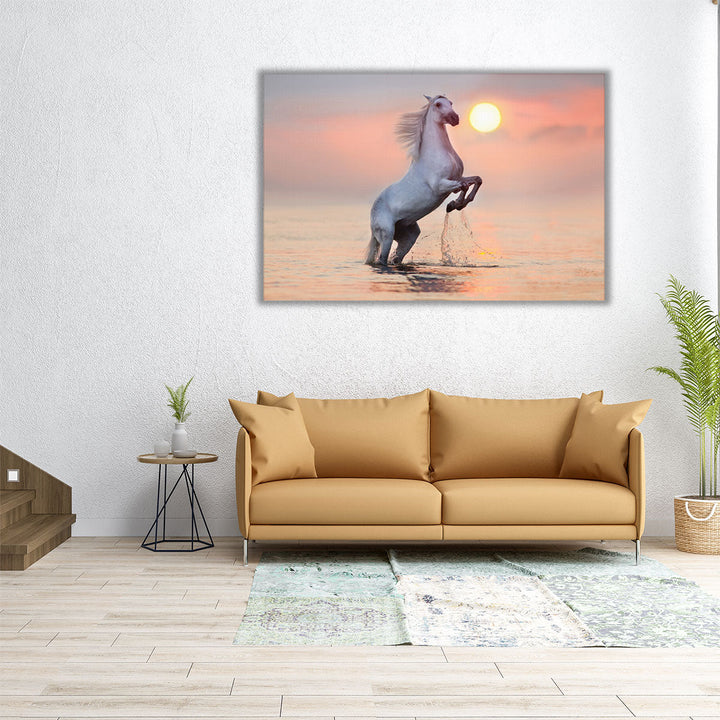 White Stallion Rearing Up with Splash in Water at Sunrise - Canvas Print Wall Art