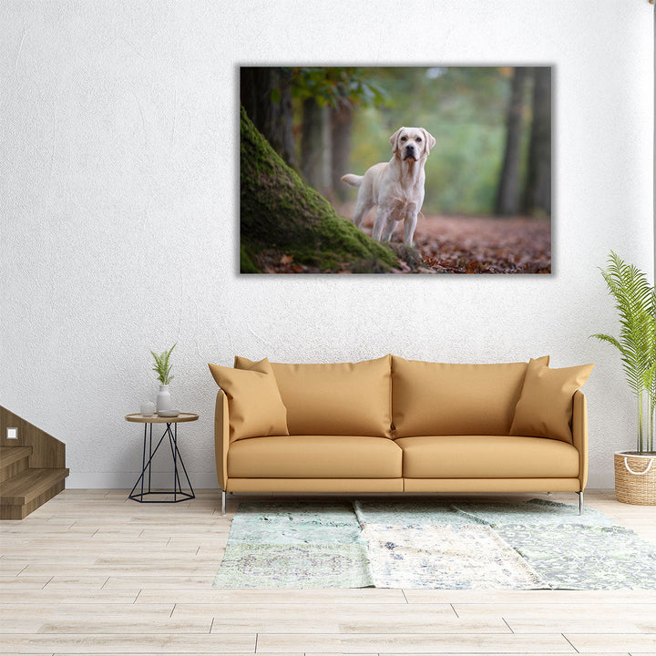 Yellow Labrador Retriever Standing in a Forest - Canvas Print Wall Art