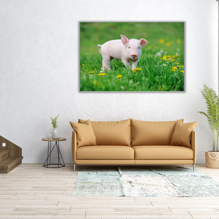 Young Pig on a Spring Green Grass - Canvas Print Wall Art