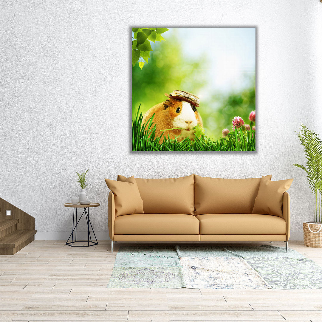 Funny Guinea Pig in Nature - Canvas Print Wall Art