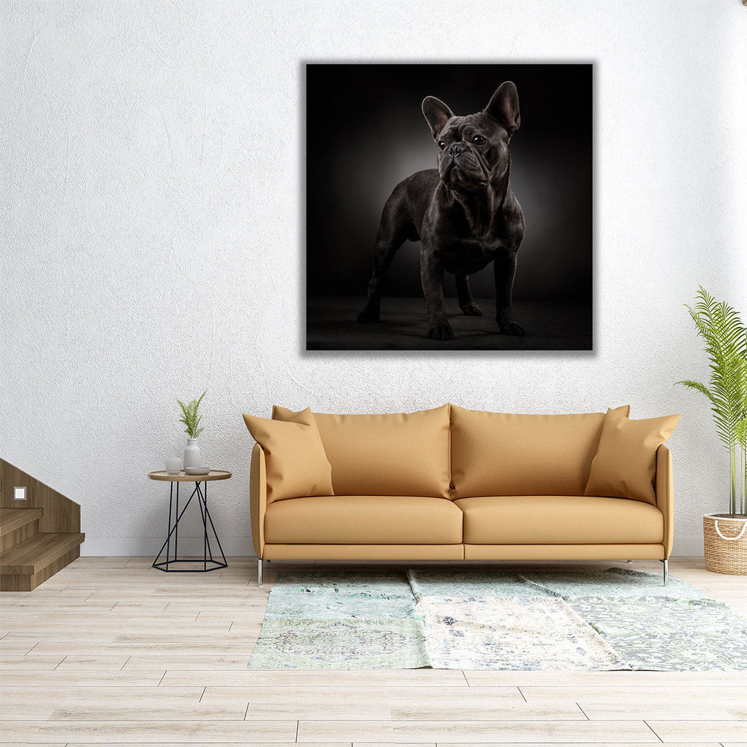 Portrait of a French Bulldog - Canvas Print Wall Art