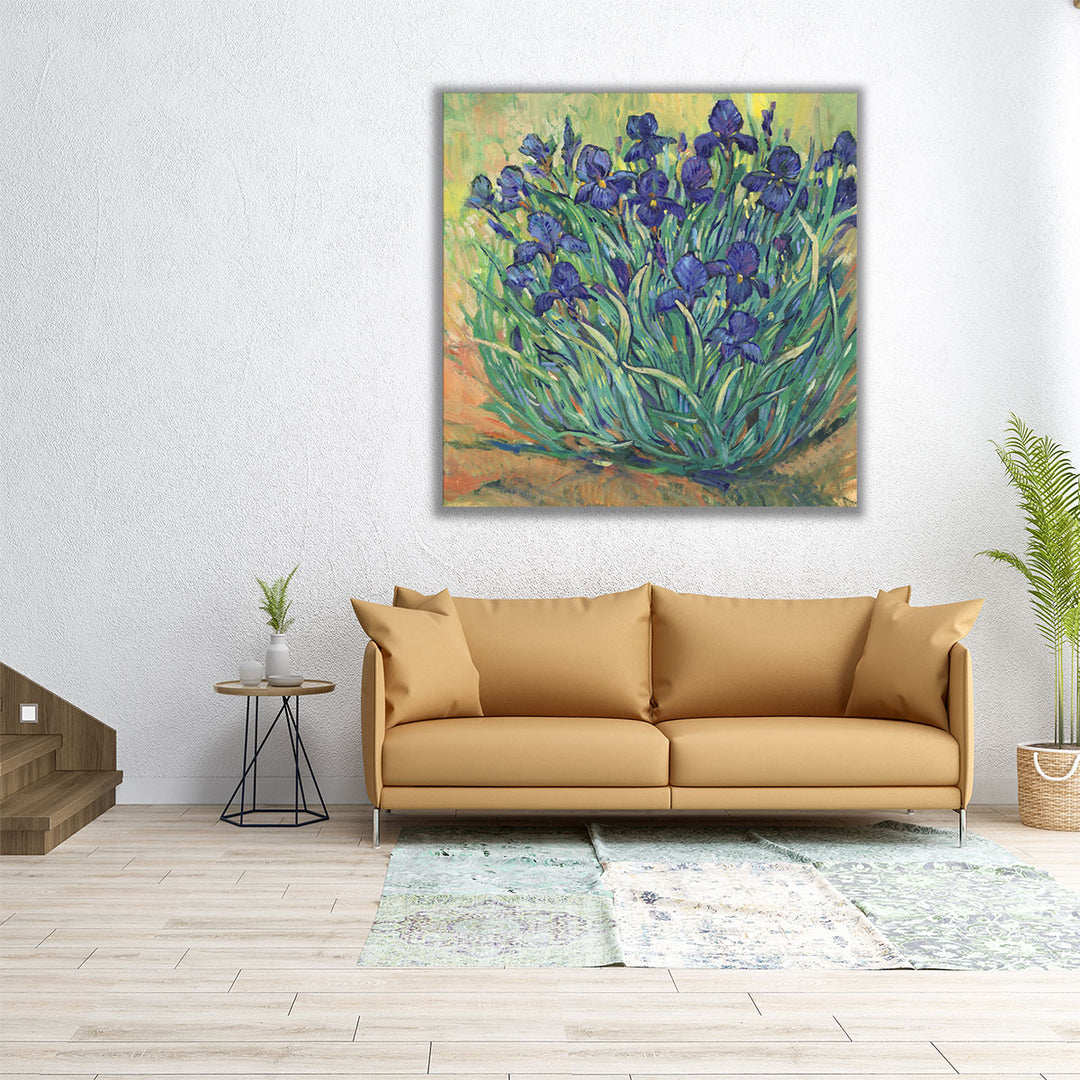 Irises in Bloom I - Canvas Print Wall Art