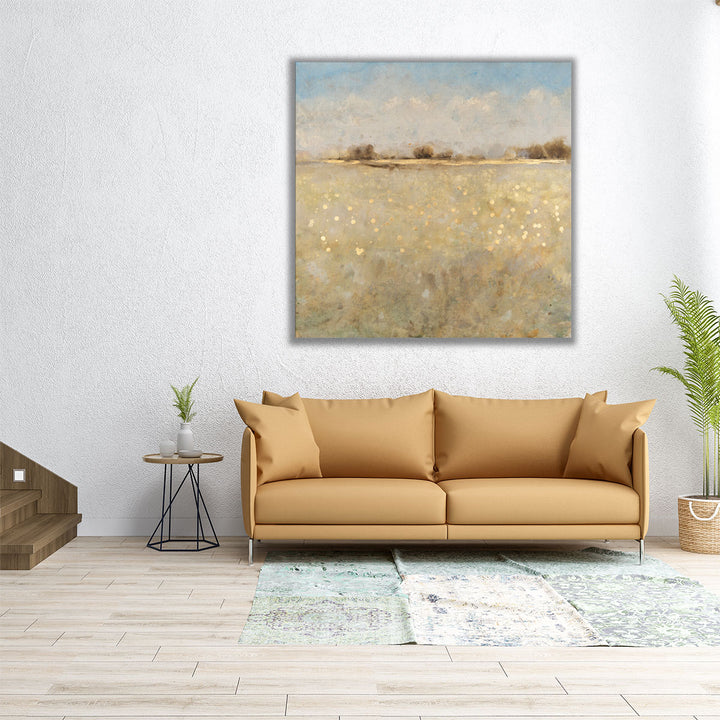 Meadow Plane I - Canvas Print Wall Art