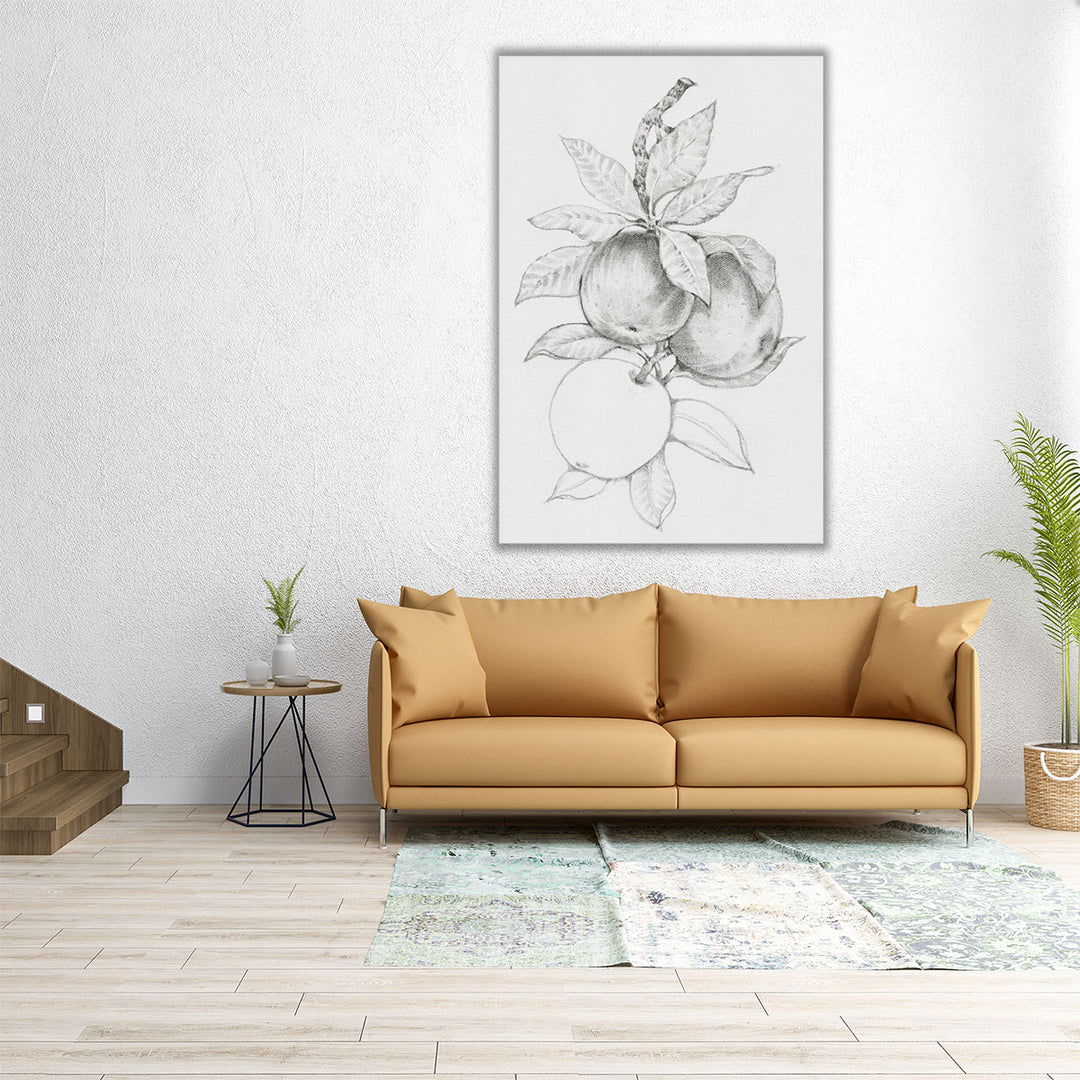 Fruit-Bearing Branch II - Canvas Print Wall Art