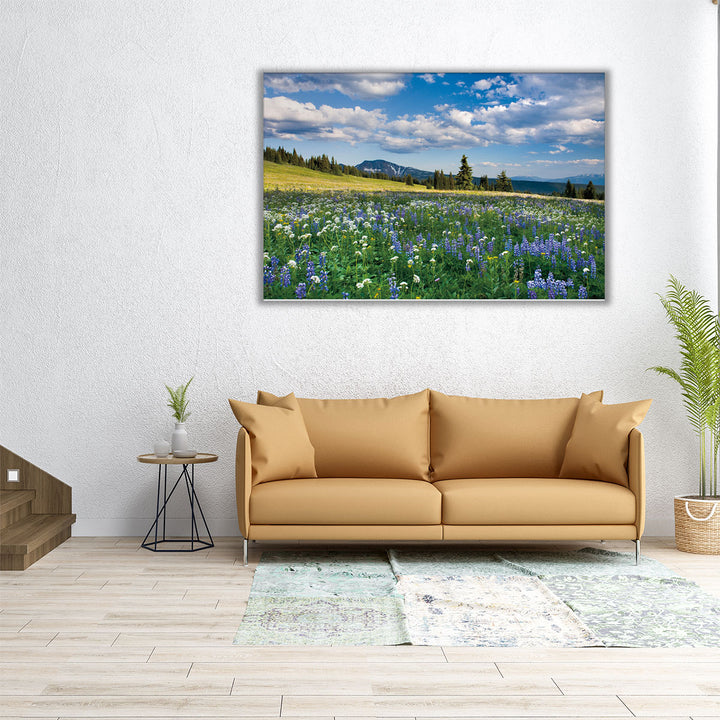 Trophy Meadows - Canvas Print Wall Art