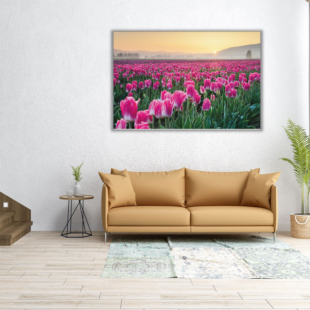 Skagit Valley Tulips I - Canvas Print Wall Art