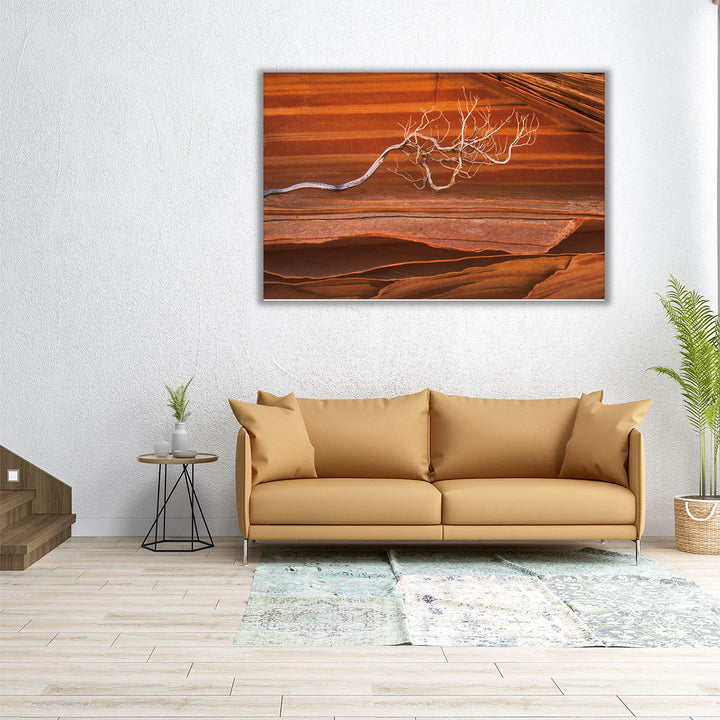 Coyote Buttes III - Canvas Print Wall Art