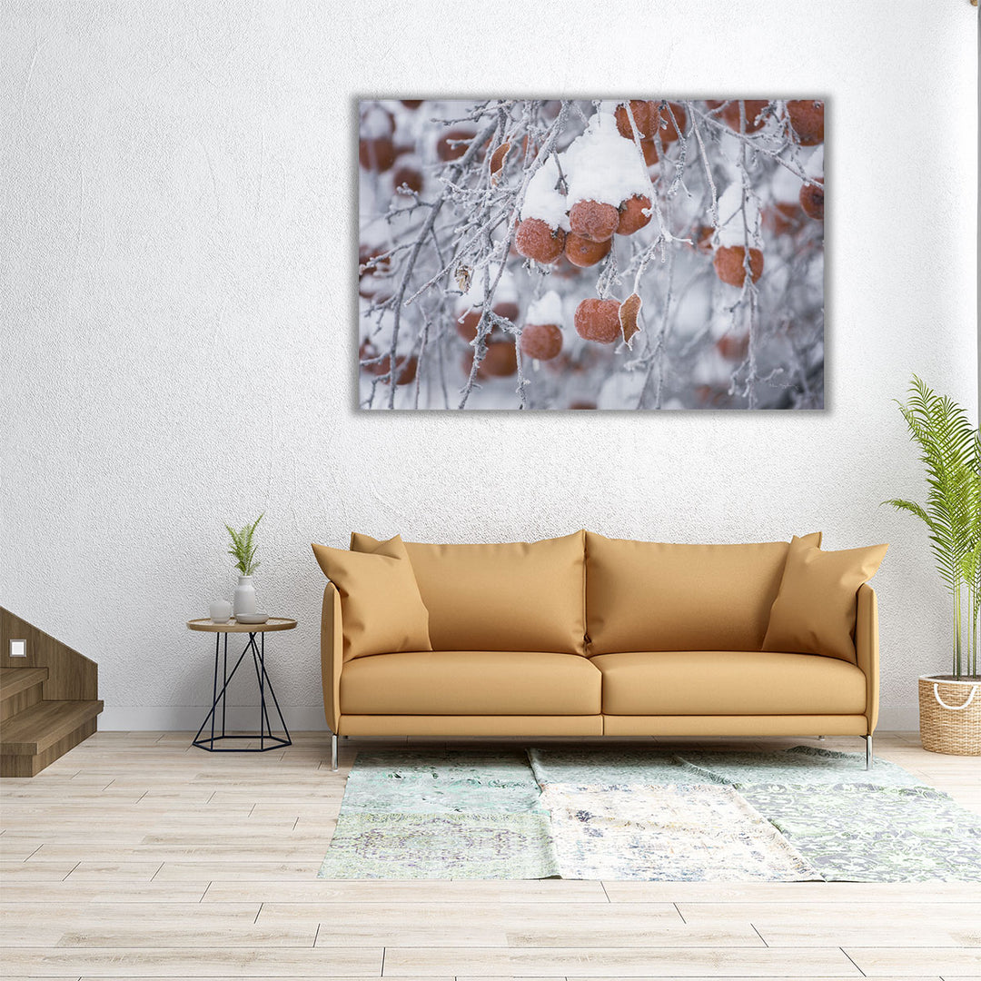 Orchard in Winter - Canvas Print Wall Art