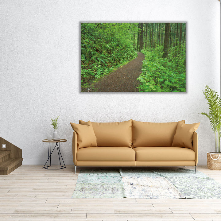 Hiking Trail in Columbia River Gorge I - Canvas Print Wall Art