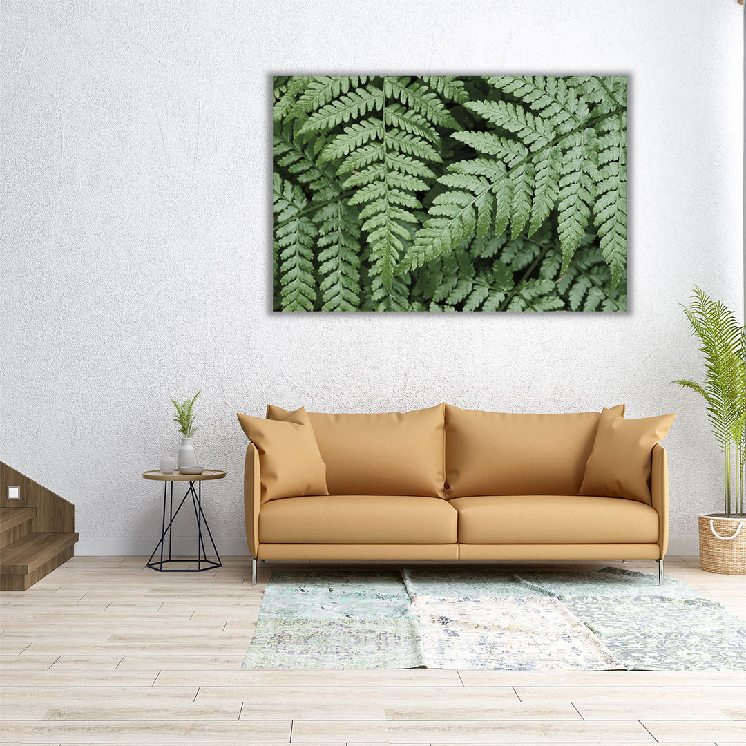 Lady Ferns II - Canvas Print Wall Art