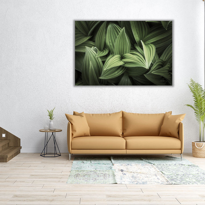 Corn Lily I - Canvas Print Wall Art