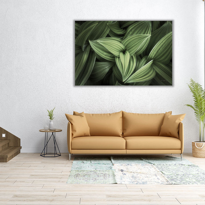 Corn Lily II - Canvas Print Wall Art