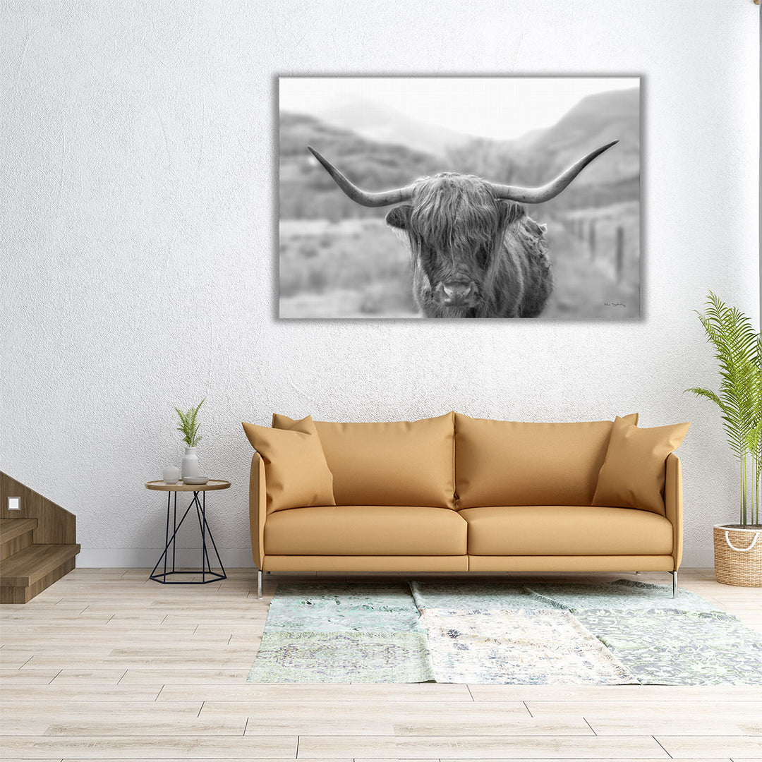 Scottish Highland Cattle III Black and White - Canvas Print Wall Art