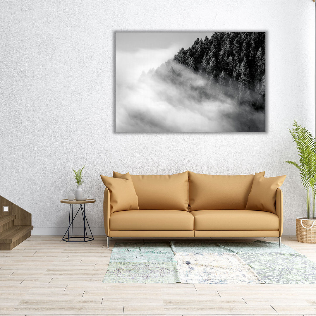 Fog and Forest I Black and White - Canvas Print Wall Art