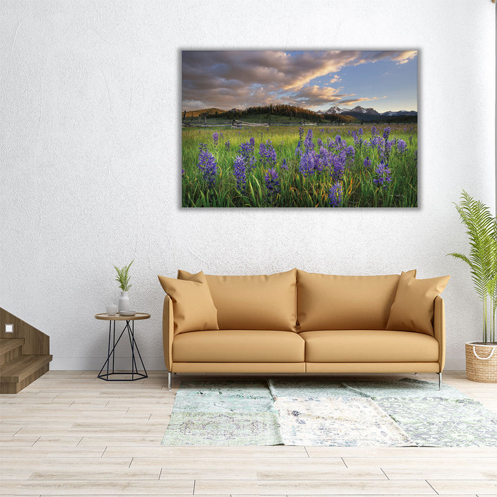 Camas Meadows - Canvas Print Wall Art