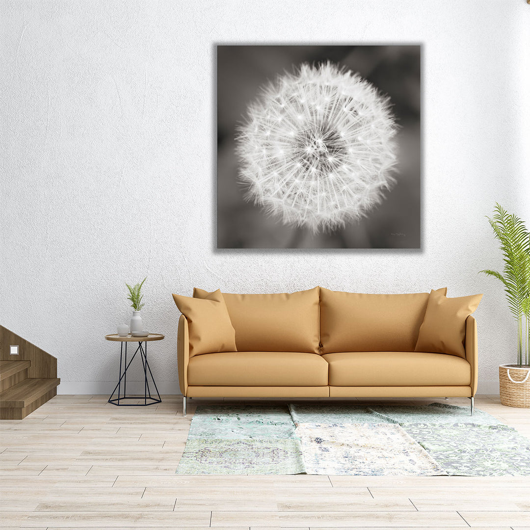 Dandelion Seedhead - Canvas Print Wall Art